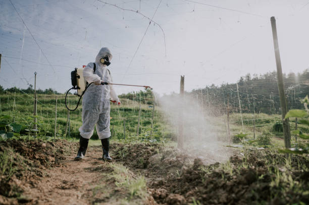 Best Affordable Pest Control Services  in Dunthpe, OR