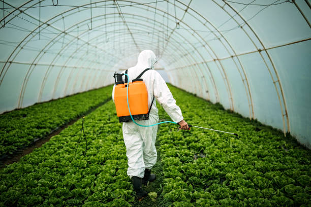 Best Residential Pest Control  in Dunthpe, OR