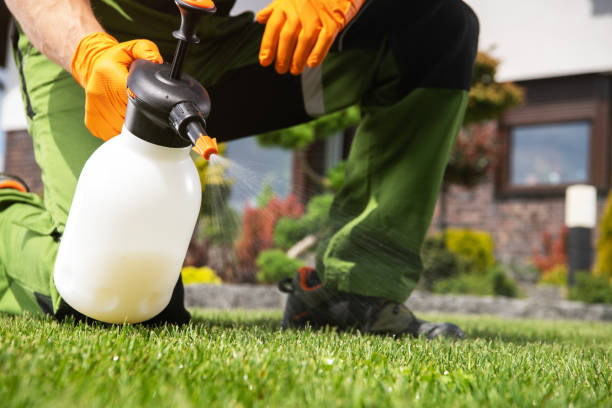 Best Pest Control Near Me in Dunthorpe, OR