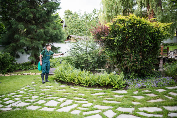 Best Best Pest Control Companies  in Dunthpe, OR
