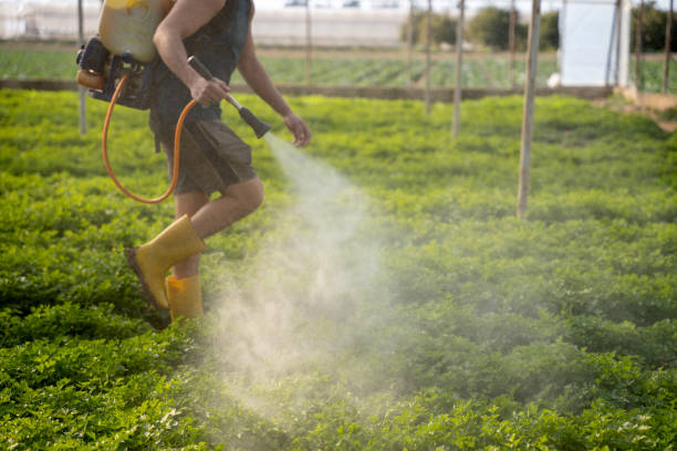 Best Insect Control  in Dunthpe, OR