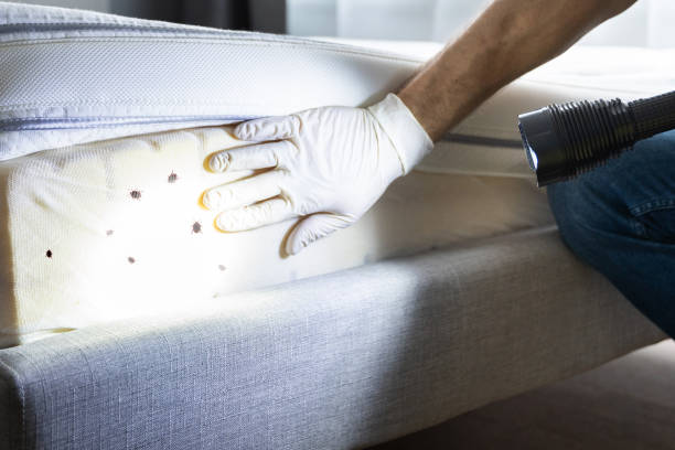 Best Commercial Pest Control Services  in Dunthpe, OR
