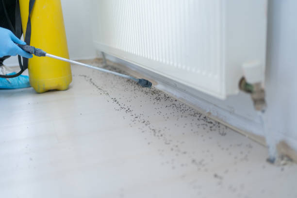 Best Pest Control Near Me in Dunthorpe, OR